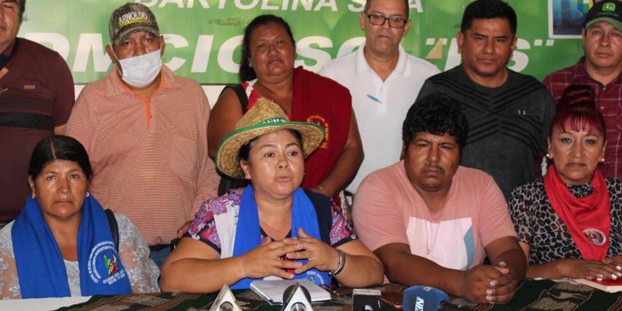 La ejecutiva de la Federación de Mujeres Campesinas Originarias "Bartolina Sisa" de Santa Cruz, Felipa Montenegro, en conferencia de prensa. Foto: Archivo