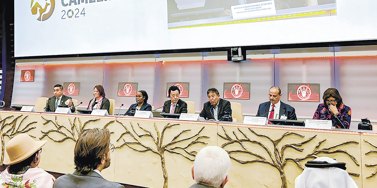 Inauguración del Año Internacional de los Camélidos en Roma, Italia. | Foto: MRE