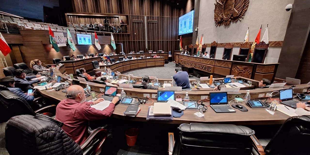 La sesión de la Cámara de Senadores. Foto: Senado