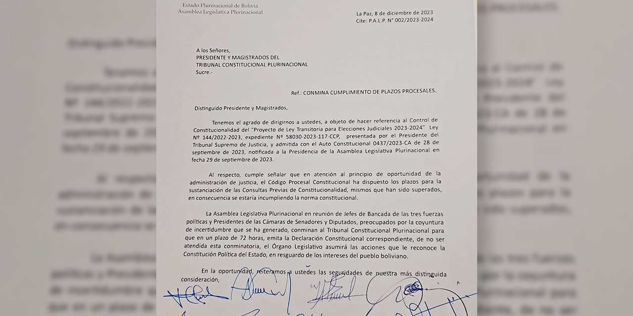 La carta enviada al Tribunal Constitucional Plurinacional.