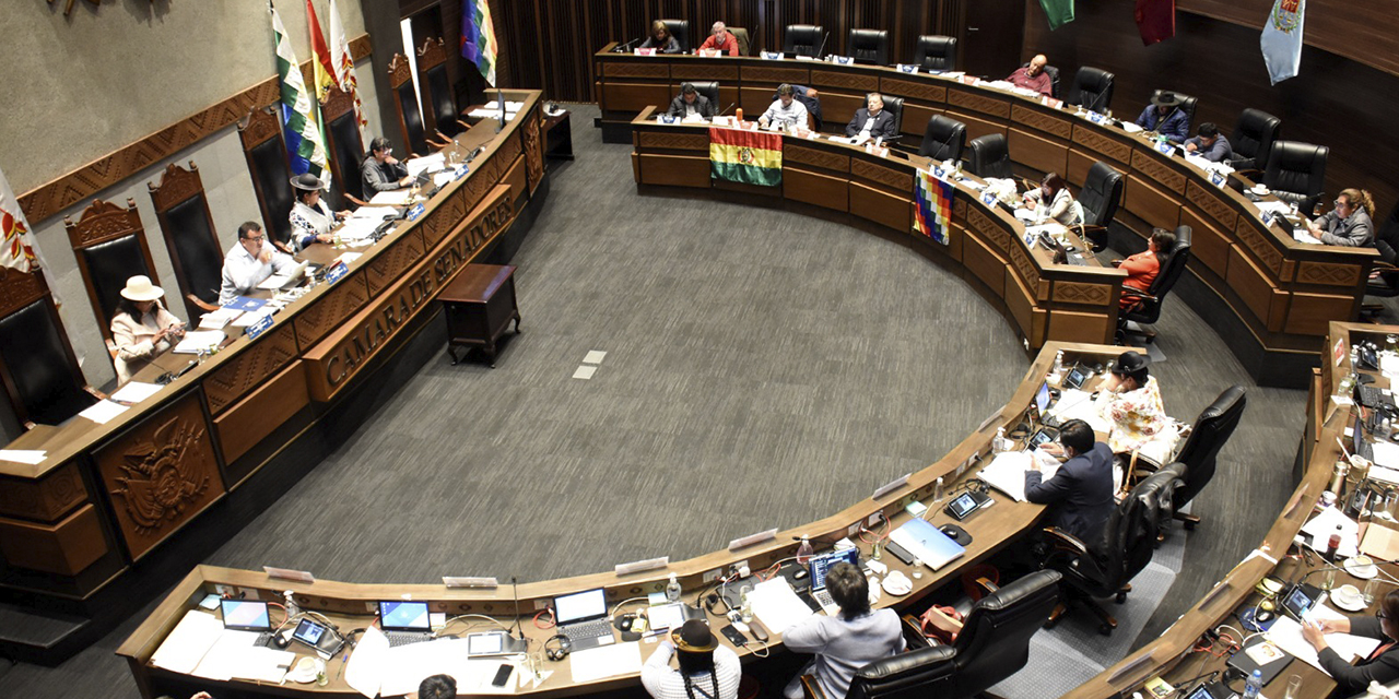 Sesión en la Cámara de Senadores.