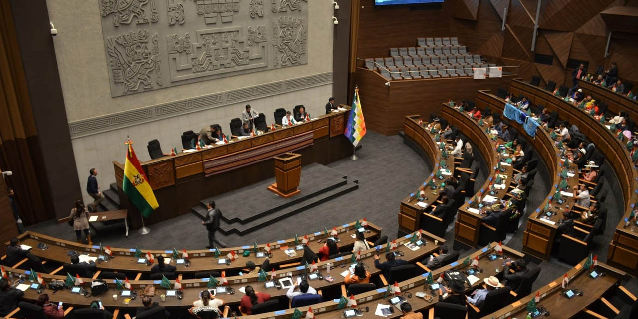 Una de las últimas sesiones de la Asamblea Legislativa Plurinacional. | Foto: Archivo