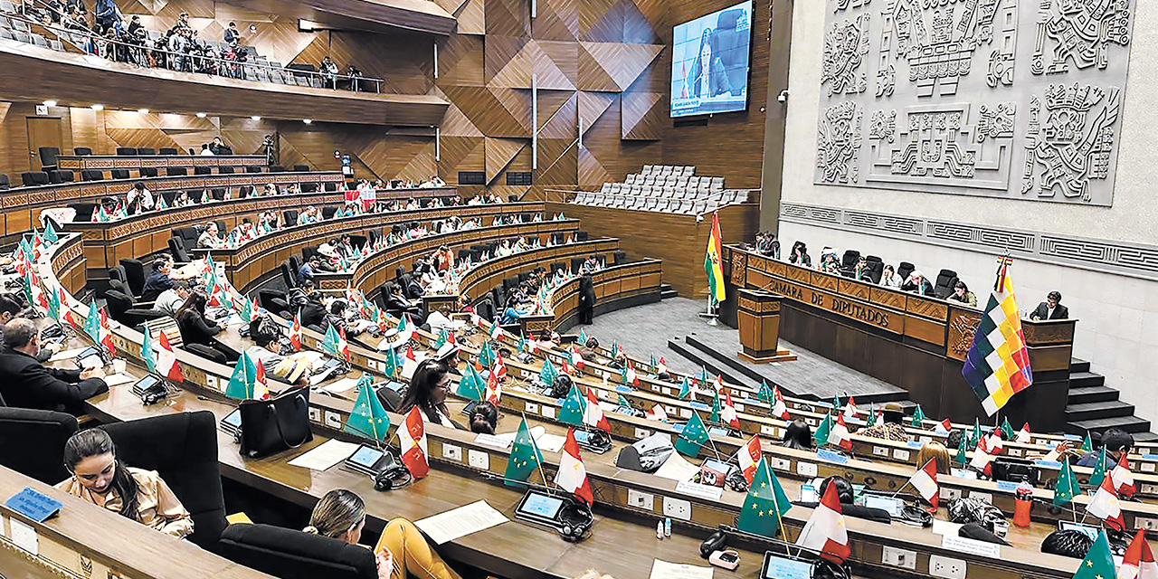 La Asamblea Legislativa Plurinacional de Bolivia. FOTO:  Archivo