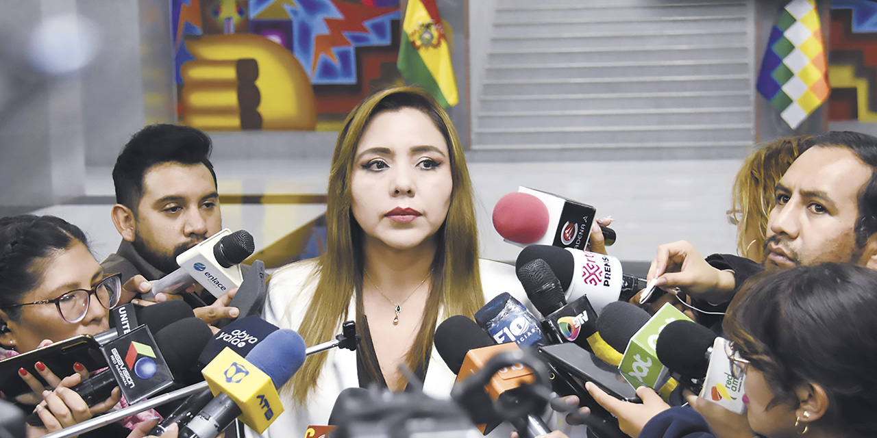 La viceministra Alcón en contacto con medios de prensa. | Foto: Gonzalo  Jallasi