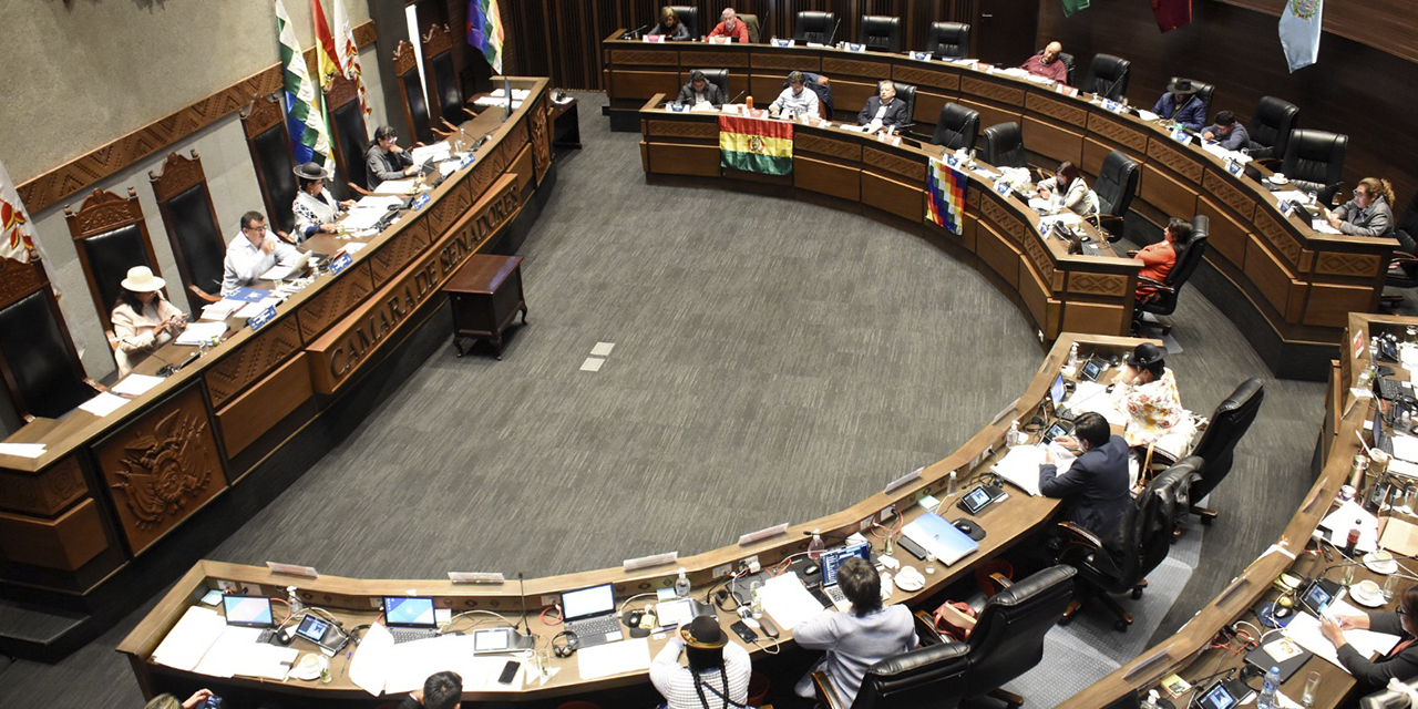 Sesión en la Cámara de Senadores.