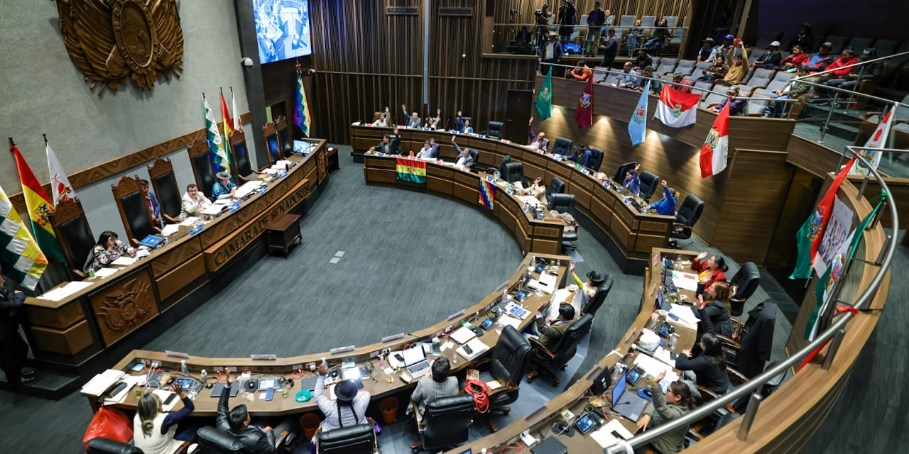 La sesión de la Cámara de Senadores del pasado 20 de diciembre. Foto: Senado