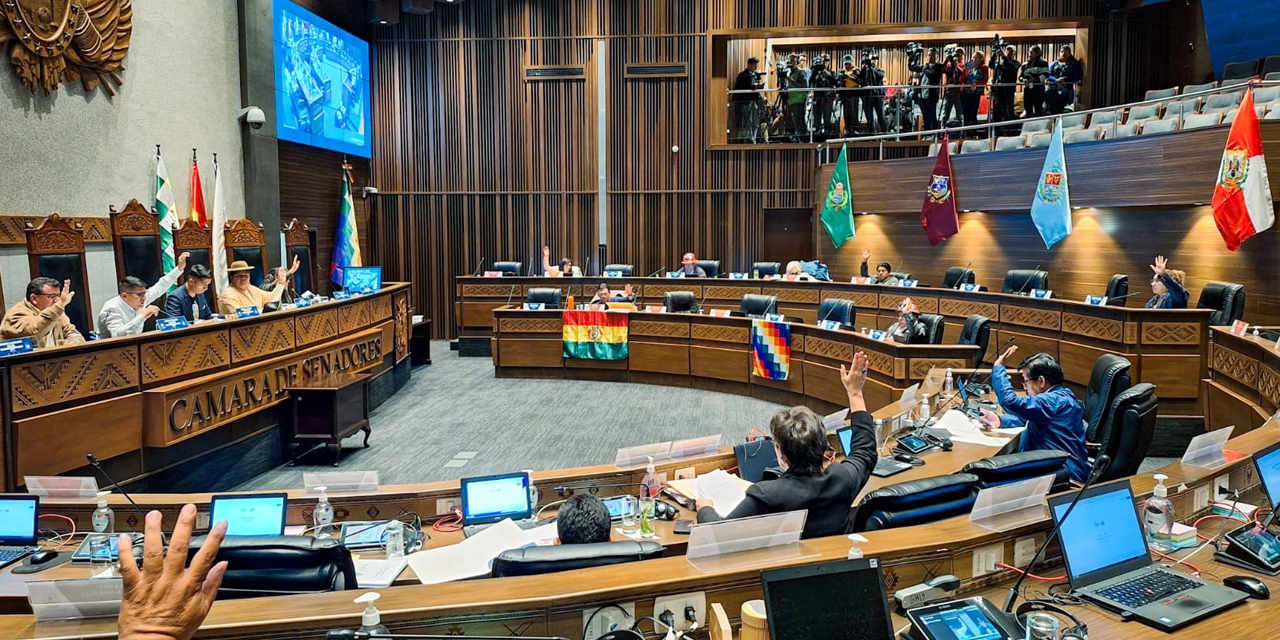 La sesión del Senado realizada el 27 de diciembre, luego que se inició el receso legislativo el pasado sábado 23. Foto: Facebook Senado