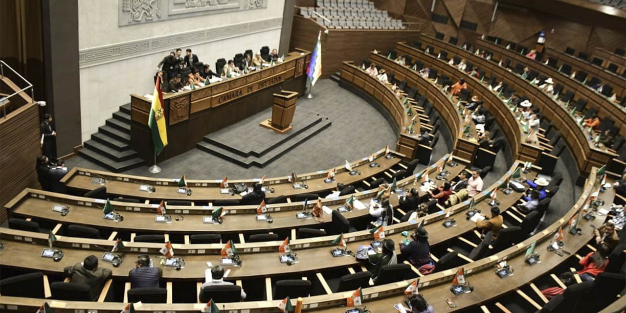 Vista del pleno de la Asamblea Legislativa Plurinacional. | Foto: Asamblea