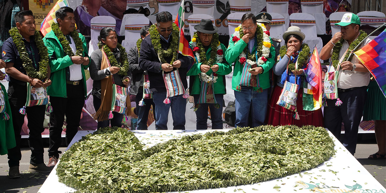 Arce anuncia una segunda planta industrializadora coca y reafirma las cualidades de la hoja 