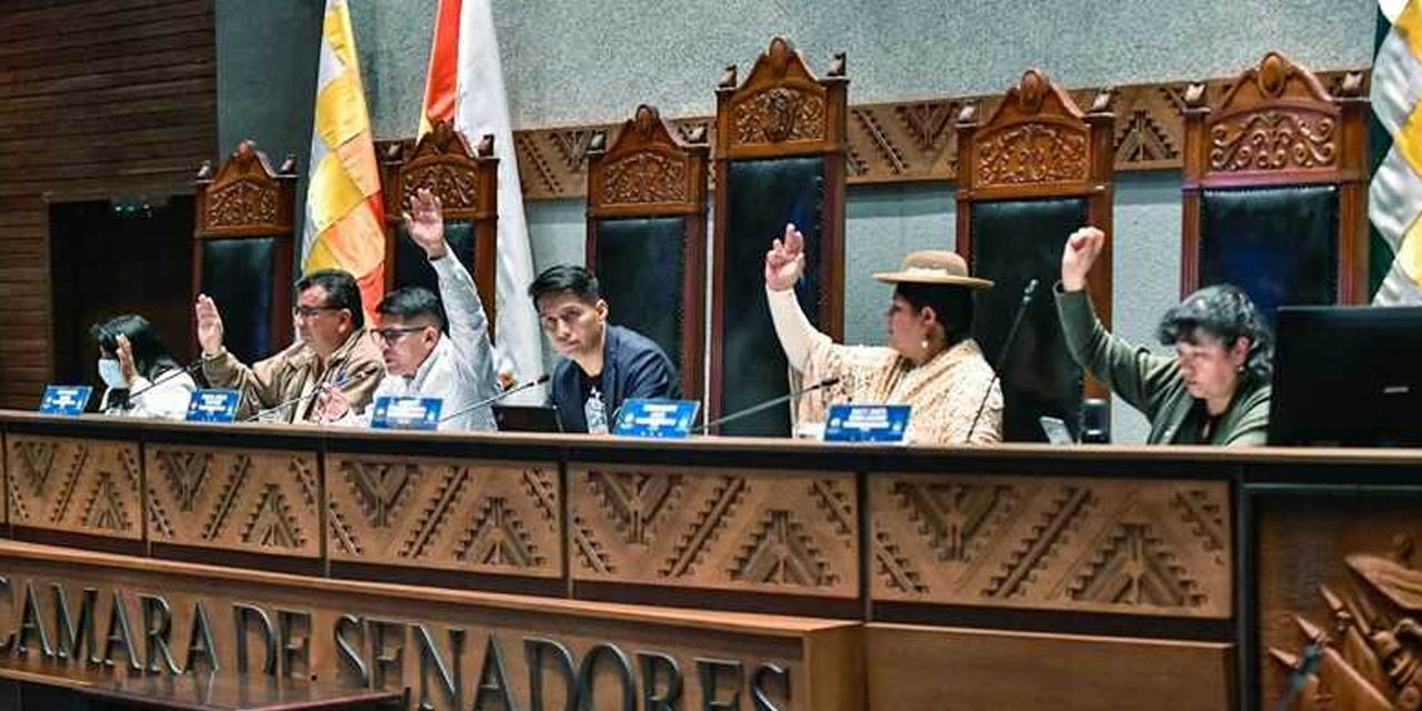 Sesión del Senado en medio del receso legislativo. | Foto: RRSS