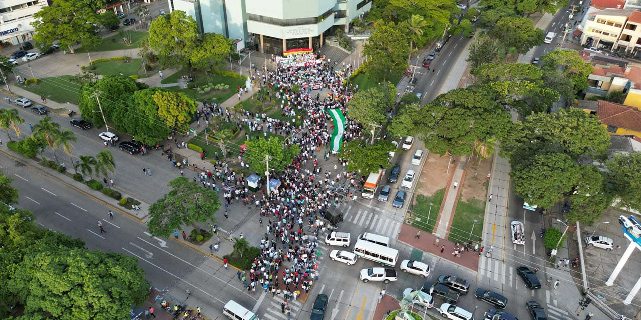 La escasa manifestación. Foto: Bolivia tv