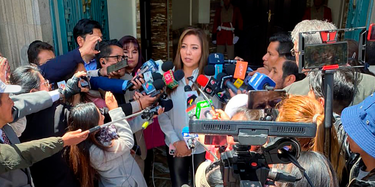 La viceministra Gabriela Alcón en conferencia de prensa. Foto: Comunicación Presidencial