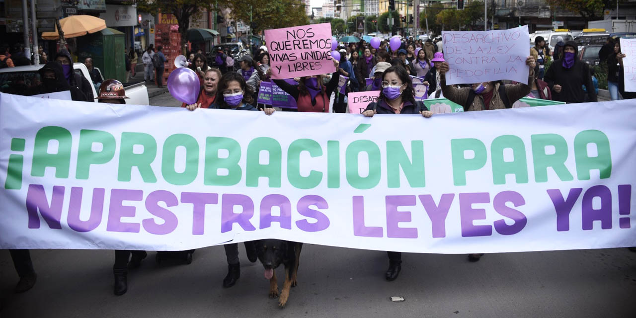 Movilización de mujeres contra el bloqueo de leyes en el Legislativo. | Foto: Gustavo Ticona