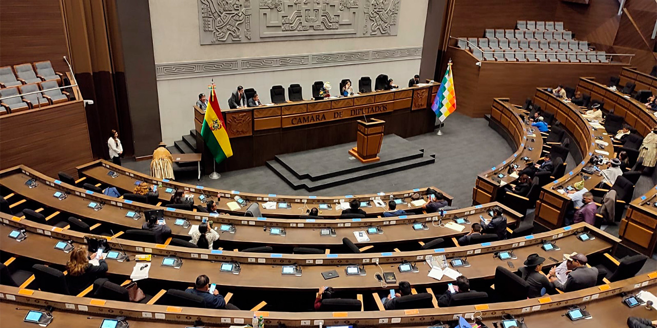 La sesión en la Cámara de Diputados. Foto: Diputados