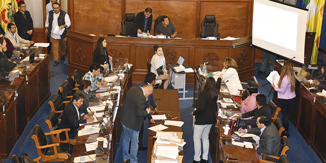 Diputados y senadores de la Comisión Mixta de Constitución en plena labor. | Foto: ALP