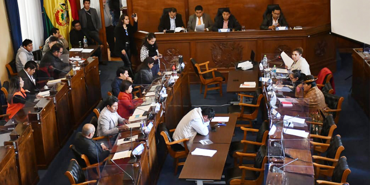 La Comisión Mixta de Constitución durante el proceso de preselección de candidatos a magistrados. Foto: APG