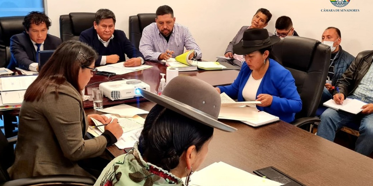 La Comisión de Planificación está integrada por los senadores Isidoro Quispe (MAS-presidente), Virginia Velasco (MAS) y Nely Gallo (Comunidad Ciudadana). Foto: Archivo Senado