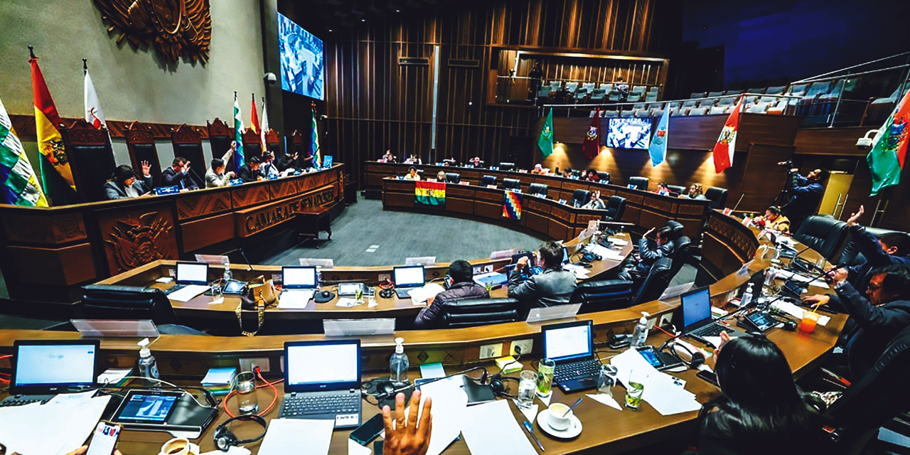 Cámara de senadores. Foto: SENADO