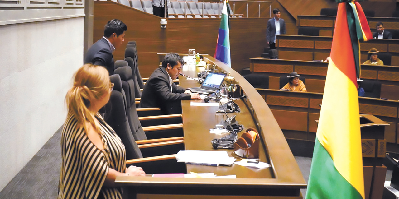 Sesión en la Cámara de Diputados. Foto: Diputados