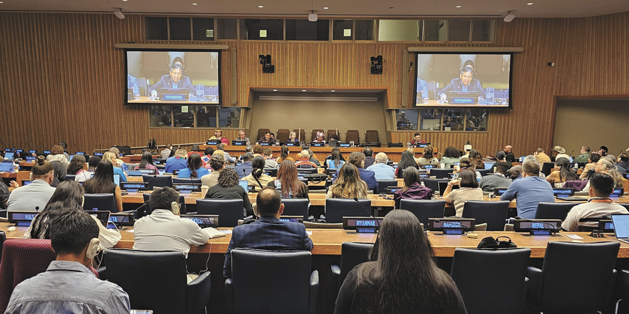 El Vicepresidente en el foro de pueblos indígenas de la ONU. | Foto: Vicepresidencia