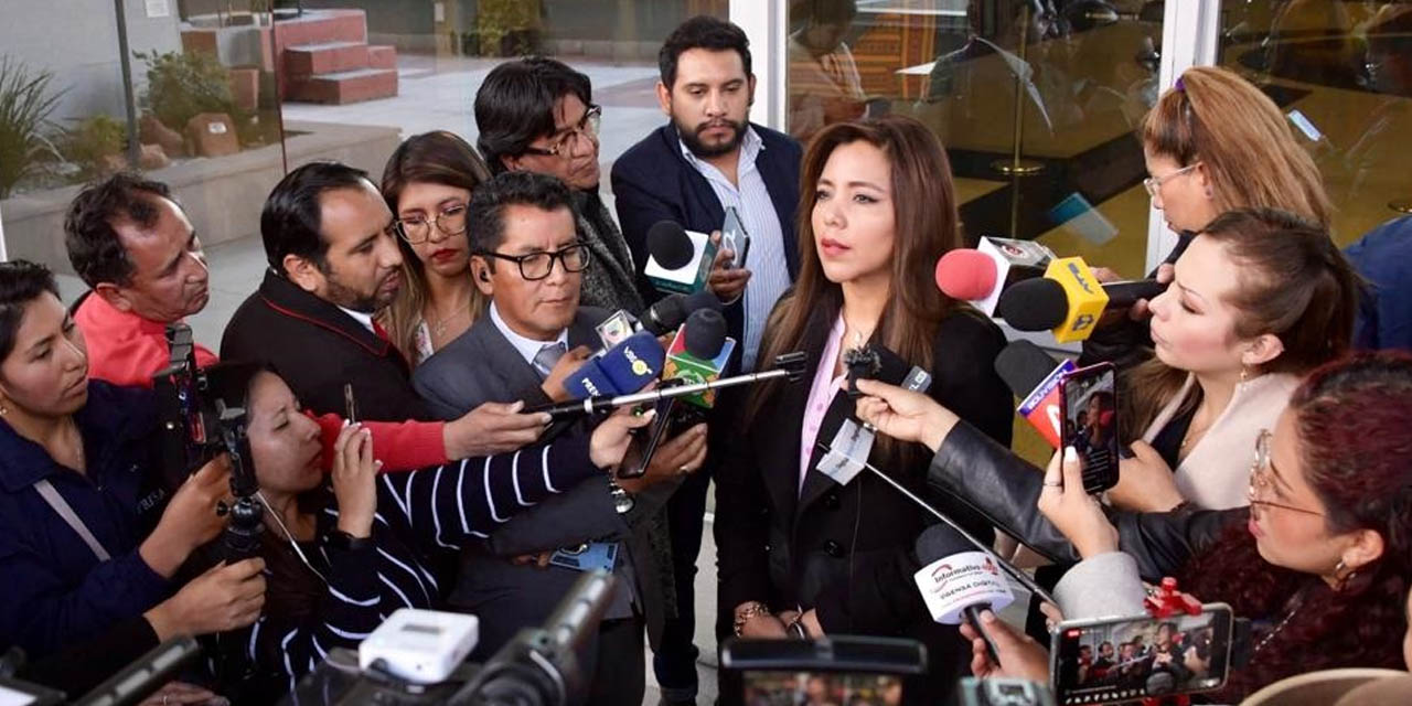 La viceministra Gabriela Alcón en contacto con los medios. | Foto: ABI