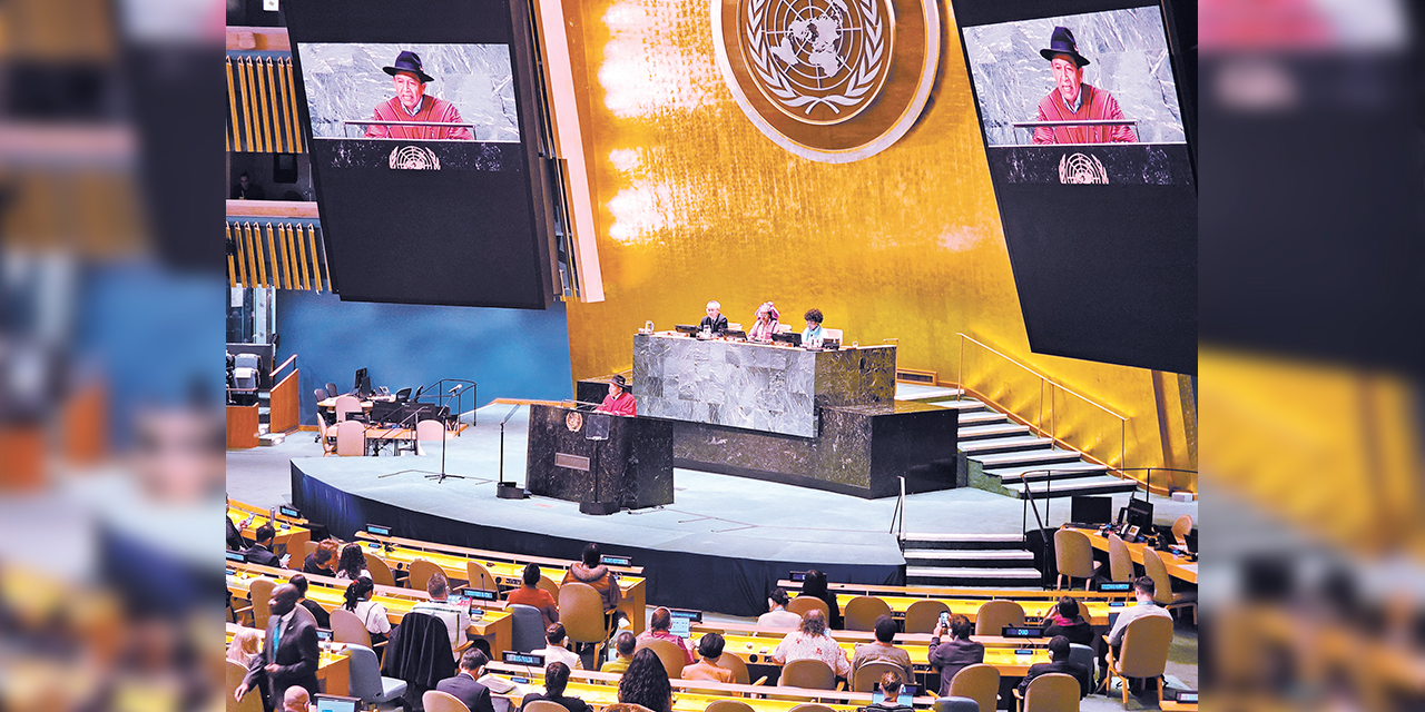 El vicepresidente en el Foro de Pueblos Indígenas de la ONU. Foto: VPE