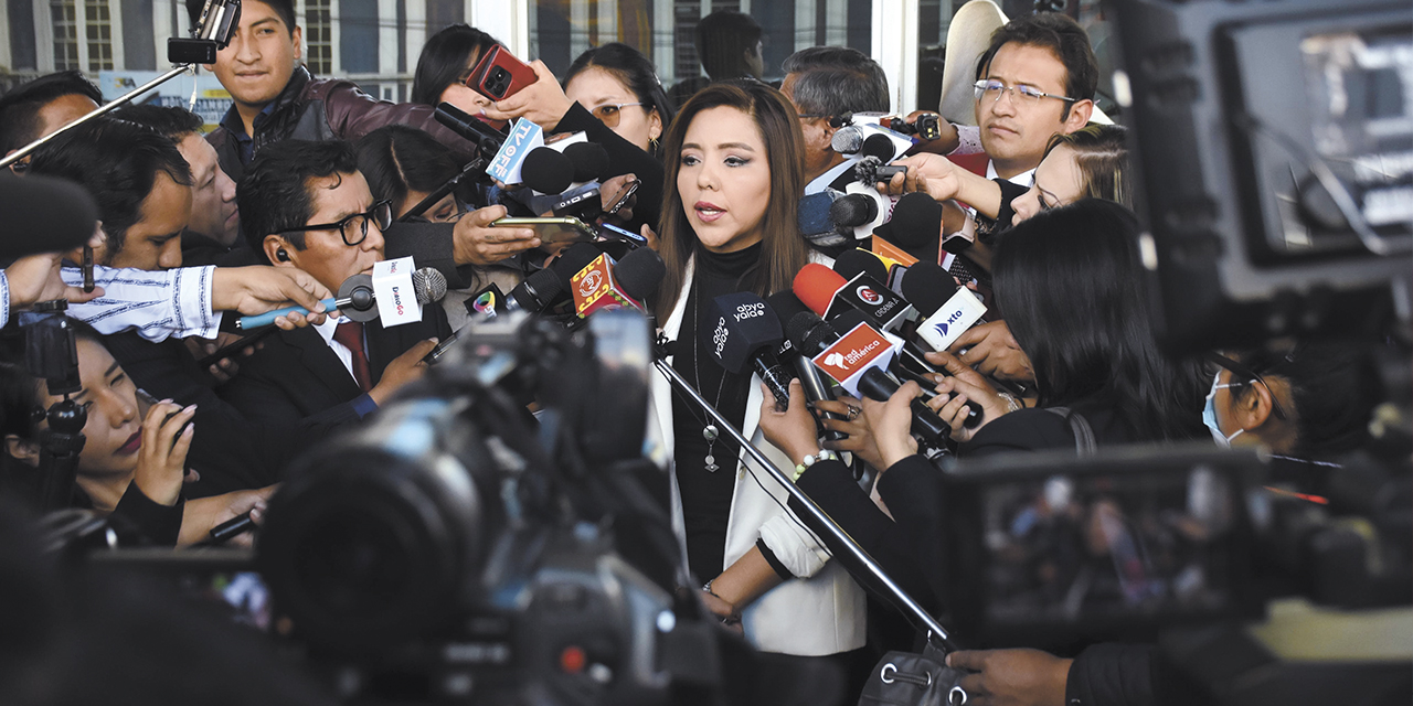 La viceministra de Comunicación, Gabriela Alcón. | Foto: Presidencia