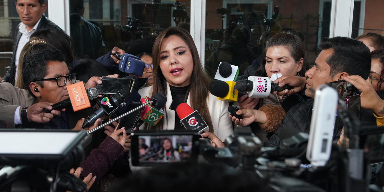 La viceministra Alcón en contacto con medios de prensa. | Foto: Jorge Mamani