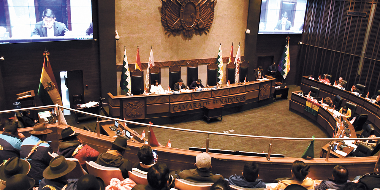 La Cámara de Senadores en sesión. Foto: Senado