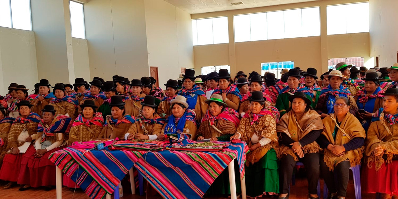 La secretaria ejecutiva de la Confederación de Mujeres Campesina Indígenas Originarias Bartolina Sisa de Bolivia, Guillermina Kuno, rodeada de las afiliadas a la Federación de La Paz. Foto: Radio tv Bartolina Sisa