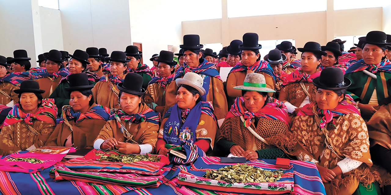 La ejecutiva de las ‘Bartolinas’, Guillermina Kuno, junto a dirigentes de La Paz. Foto:  ‘BARTOLINAS’