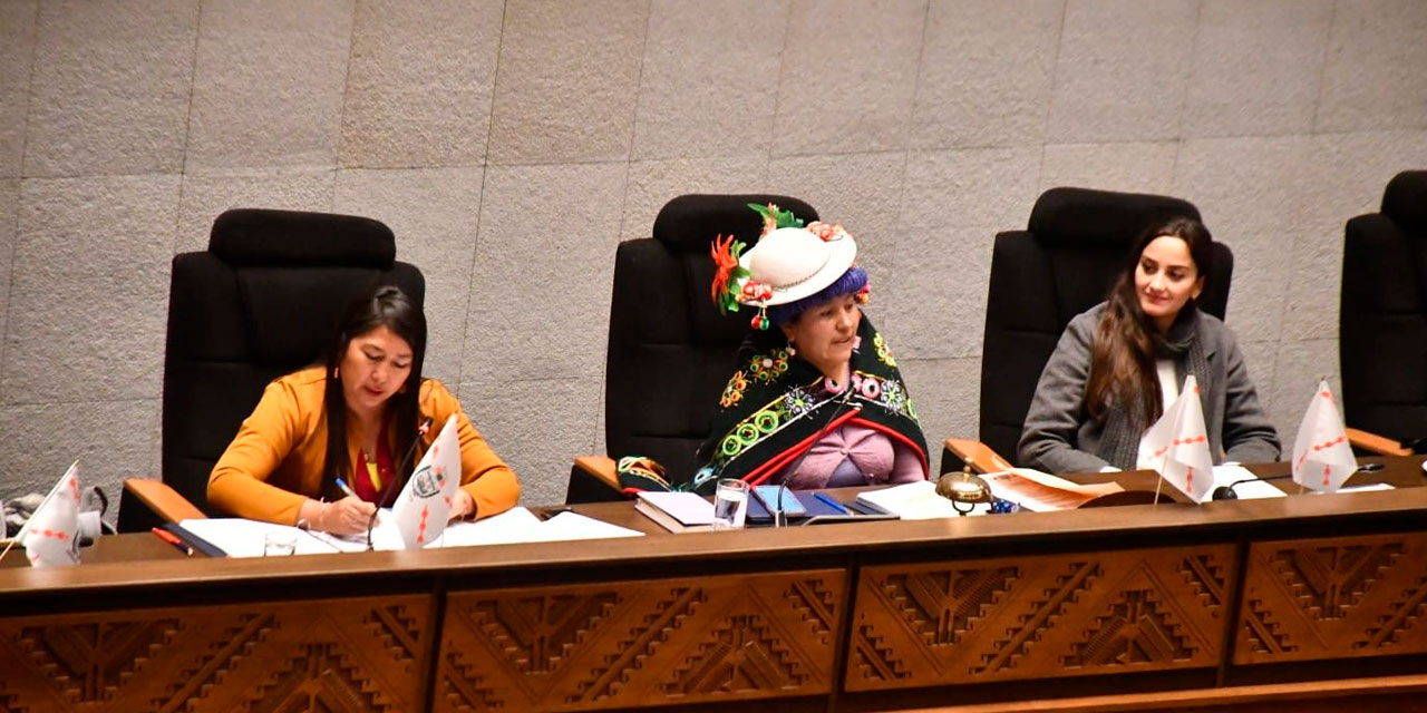 La presidenta en funciones de la Cámara de Diputados, Verónica Challo (centro), durante la fallida sesión. Foto: CD