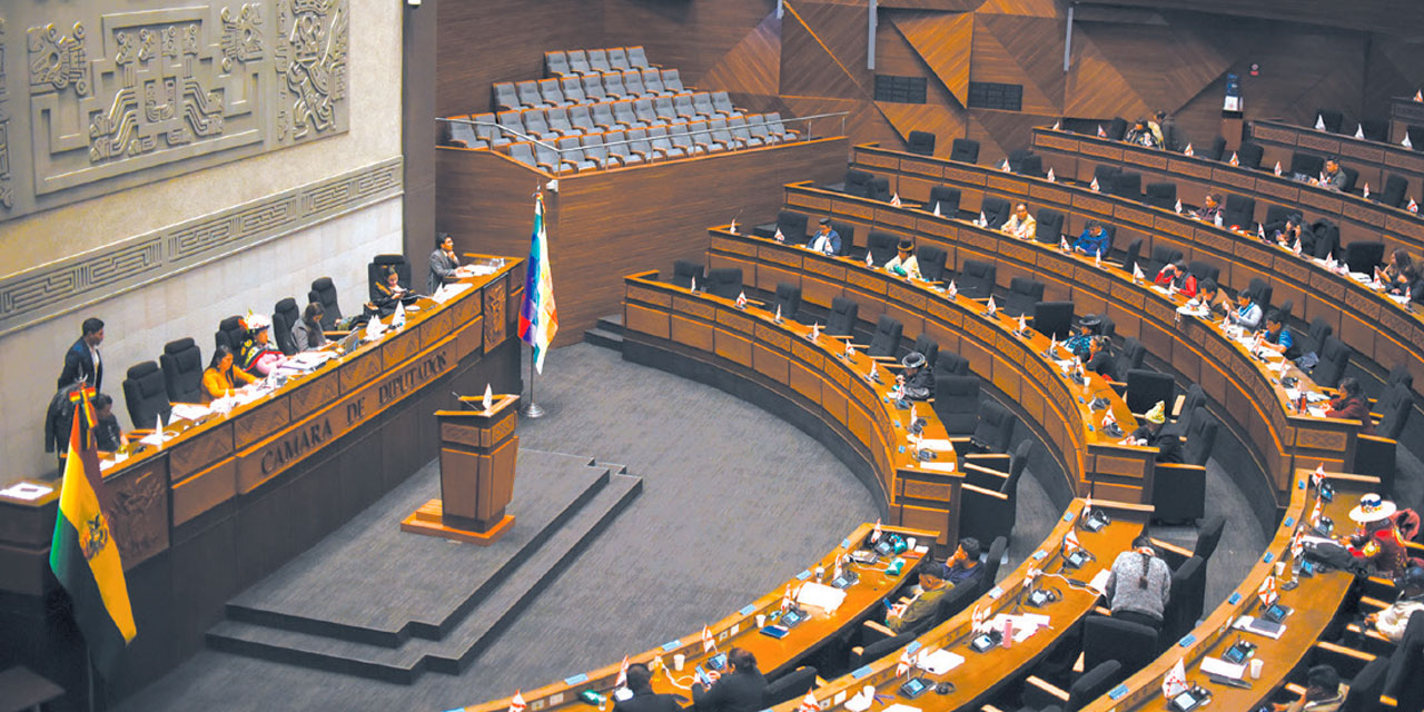 La sesión del miércoles en Diputados. Foto: Gustavo Ticona