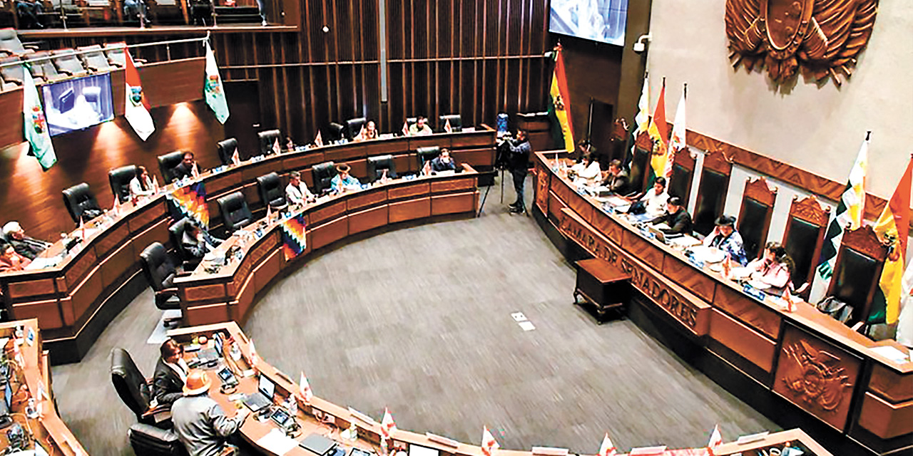 La Cámara de Senadores en una sesión. Foto: Senado