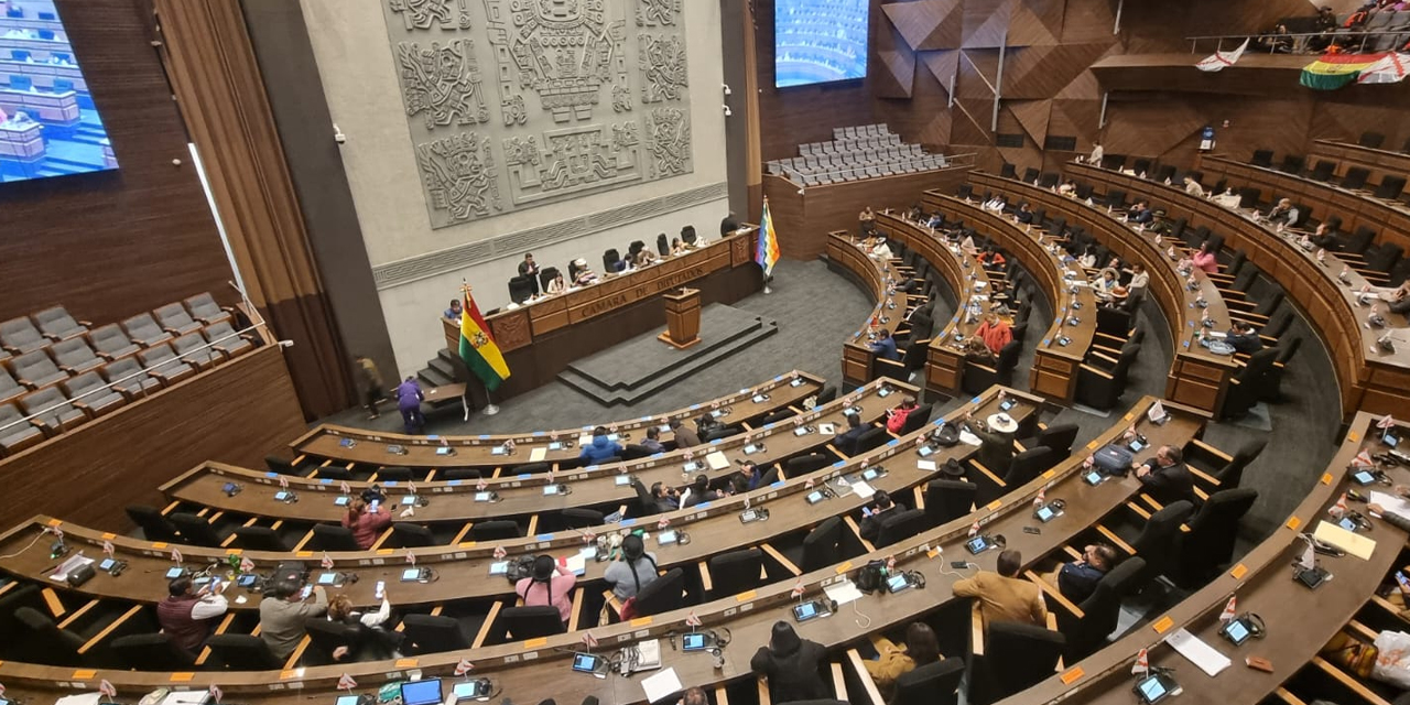 La sesión de la Cámara de Diputados del pasado 2 de mayo. Foto: CD