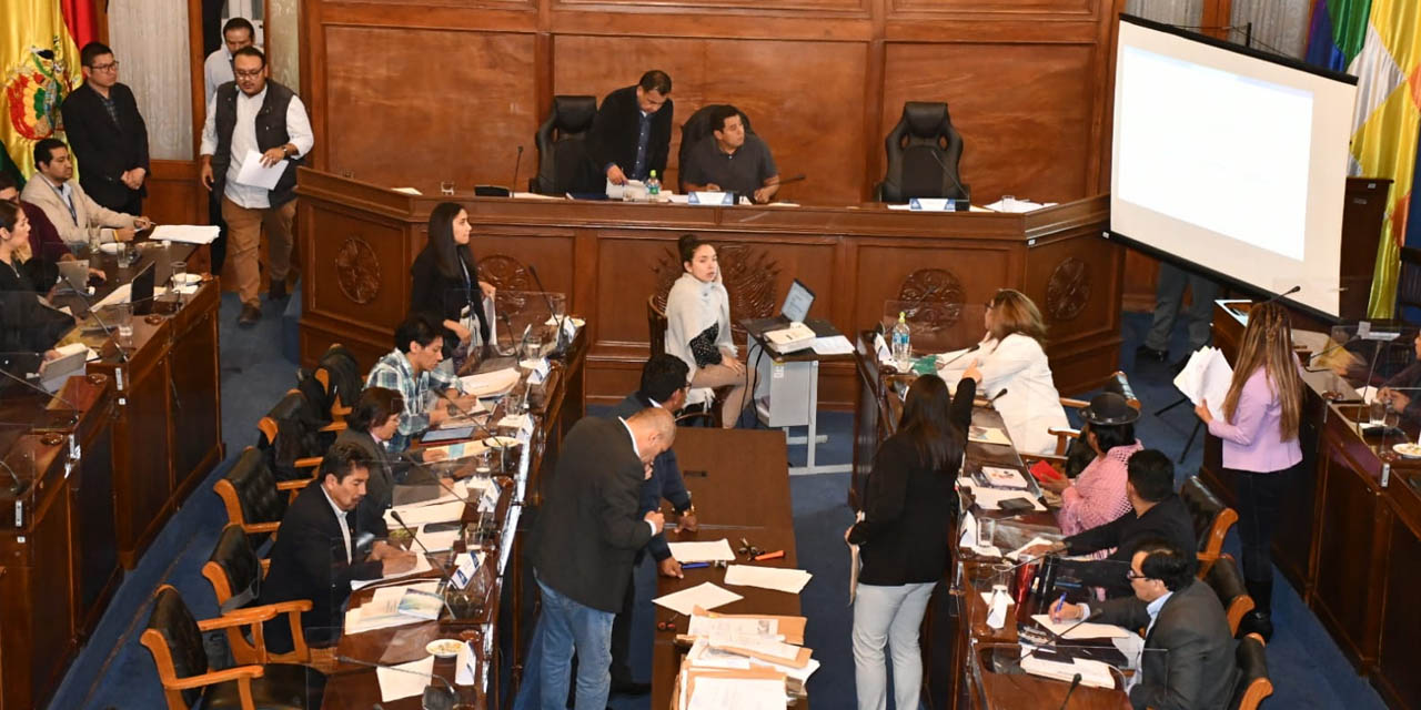 Los integrantes de la Comisión Mixta de Constitución en una de sus sesiones. Foto: Senado