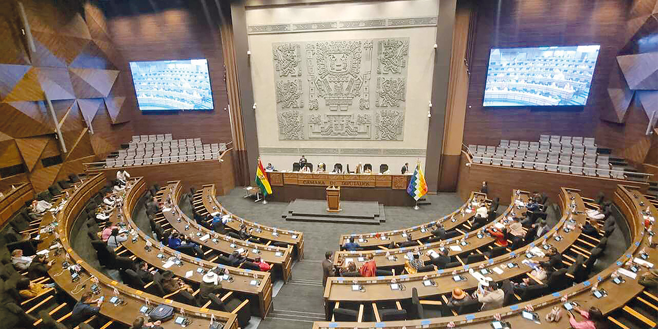 Una de las últimas sesiones de la Cámara de Diputados. Foto: ALP