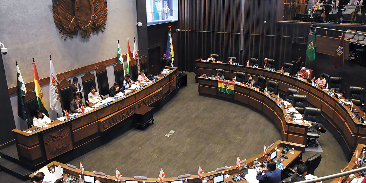 Sesión en la Cámara de Senadores. Foto:  Senado