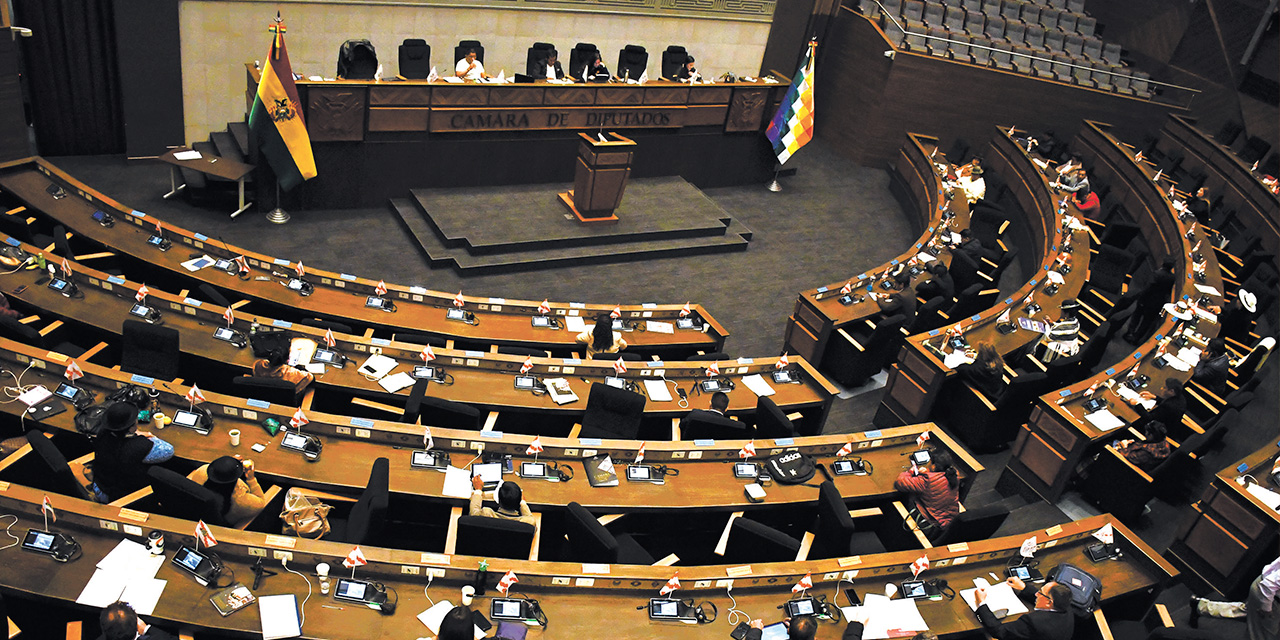 Sesión en Diputados. Foto: APG