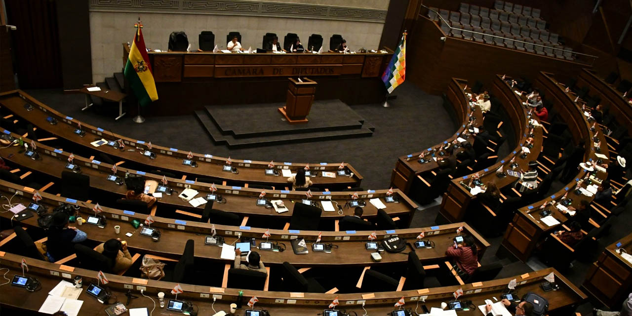 La sesión del 4 de mayo en la Cámara de Diputados, en la cual se rechazó aprobar leyes. | Foto: APG