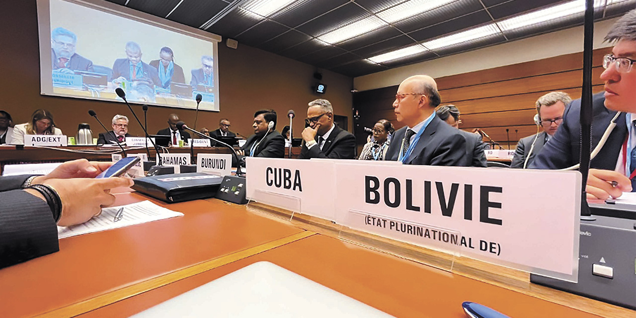 Presencia boliviana en la 77 Asamblea Mundial de la Salud. | Foto: MSyD