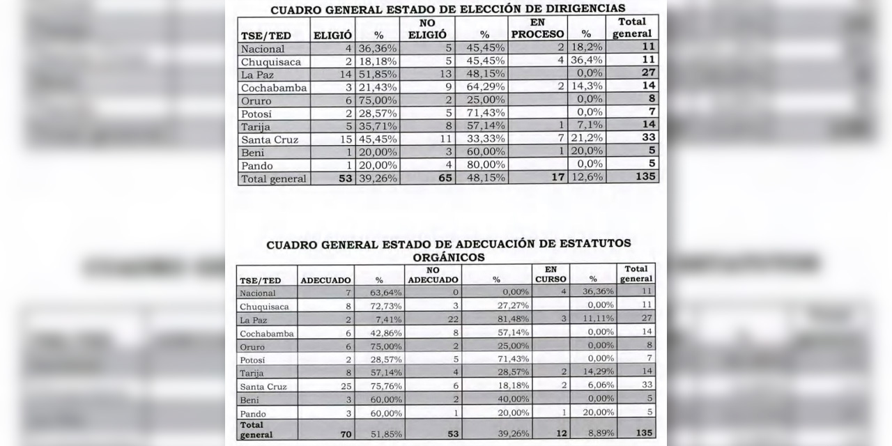 El estado de situación de las organizaciones políticas. Fuente TSE