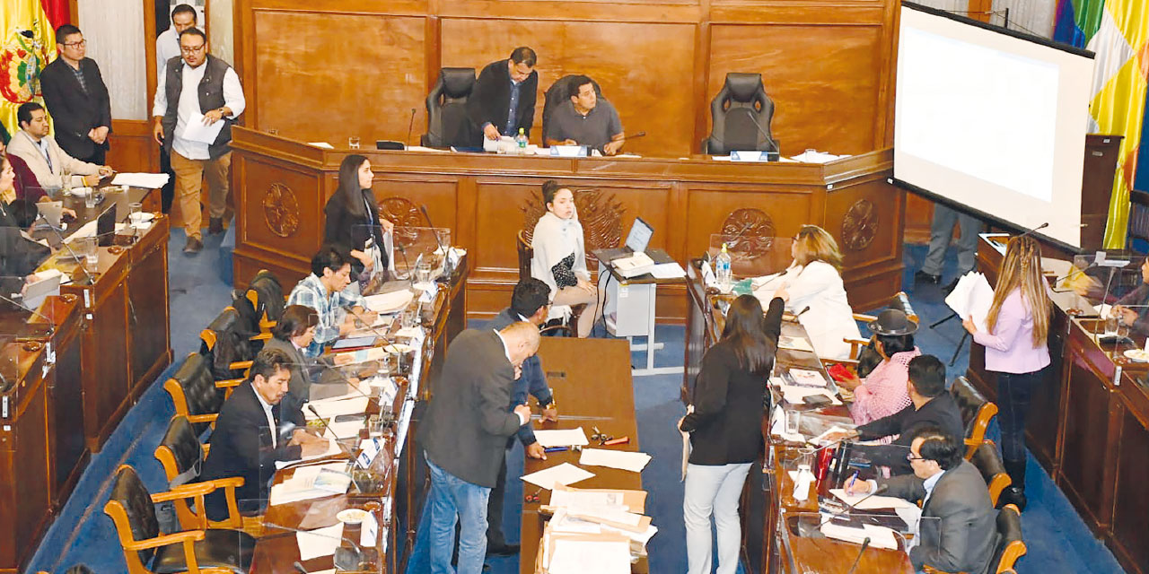 Los integrantes de la Comisión Mixta de Constitución en una de sus sesiones. Foto: Senado