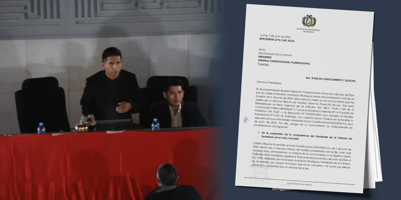 La misiva enviada al Tribunal Constitucional Plurinacional.