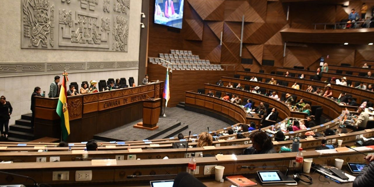 Foto: Prensa Diputados