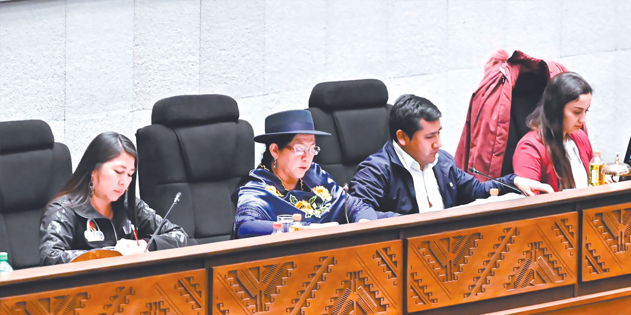 La canciller de Bolivia, Celinda Sosa, en la sesión de Diputados, la madrugada del viernes. Foto: CANCILLERÍA