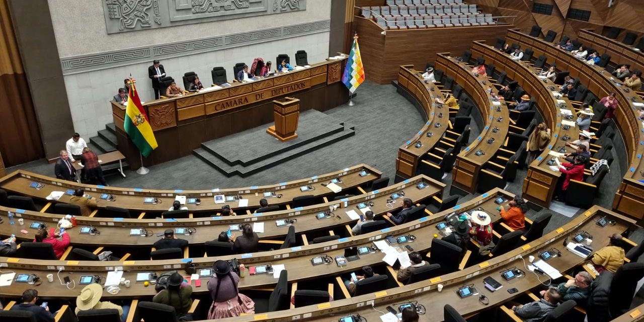 Una de las últimas sesiones de la Cámara de Diputados. Foto: Archivo