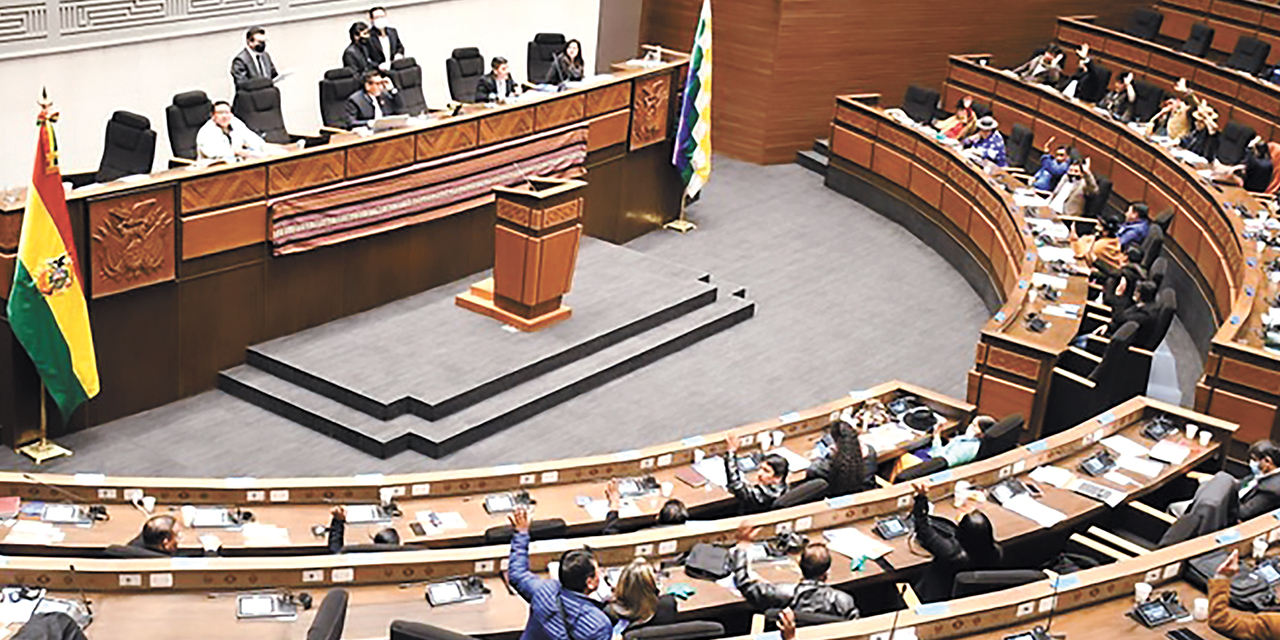 El pleno de la Asamblea Legislativa Plurinacional. Foto: Diputados