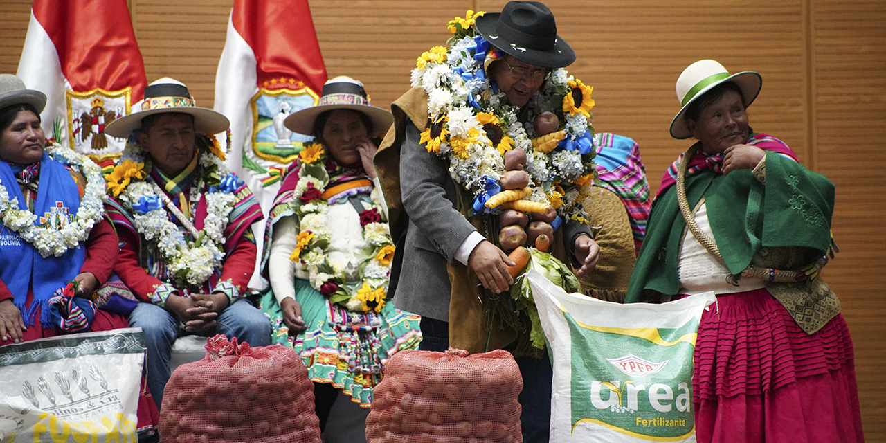 El presidente Luis Arce entrega insumos a comunidades de La Paz. Foto: Jorge Mamani