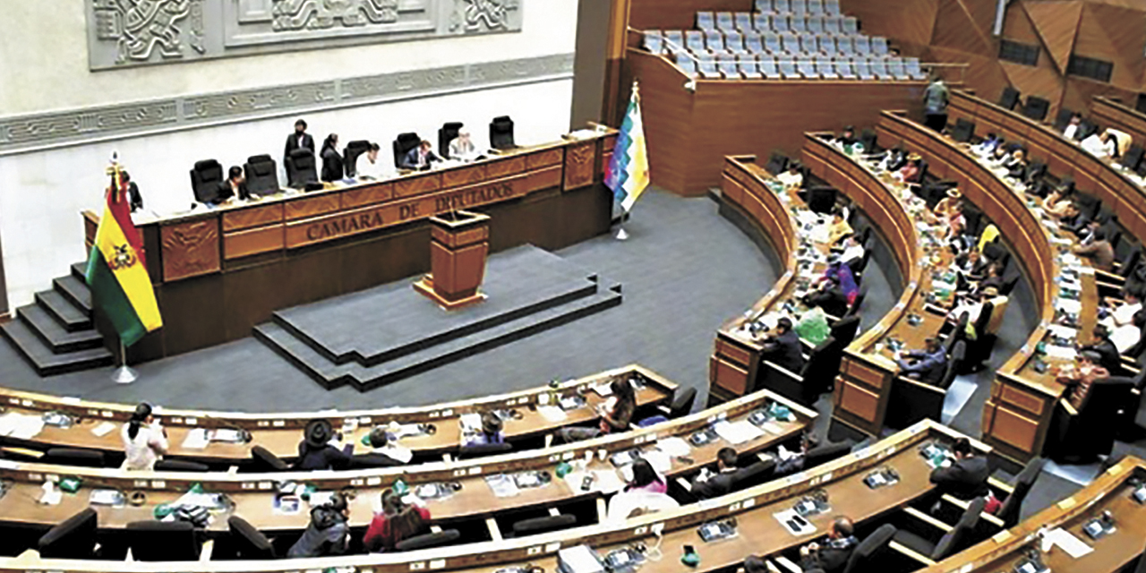 El pleno de la Asamblea Legislativa Plurinacional durante una sesión.